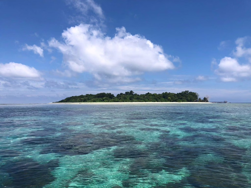 Scuba Junkie Mabul Beach Resort