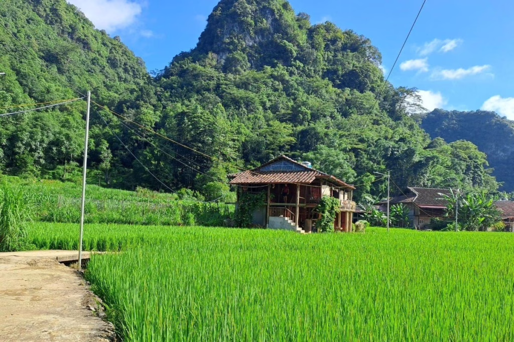 Mr Kim's Homestay