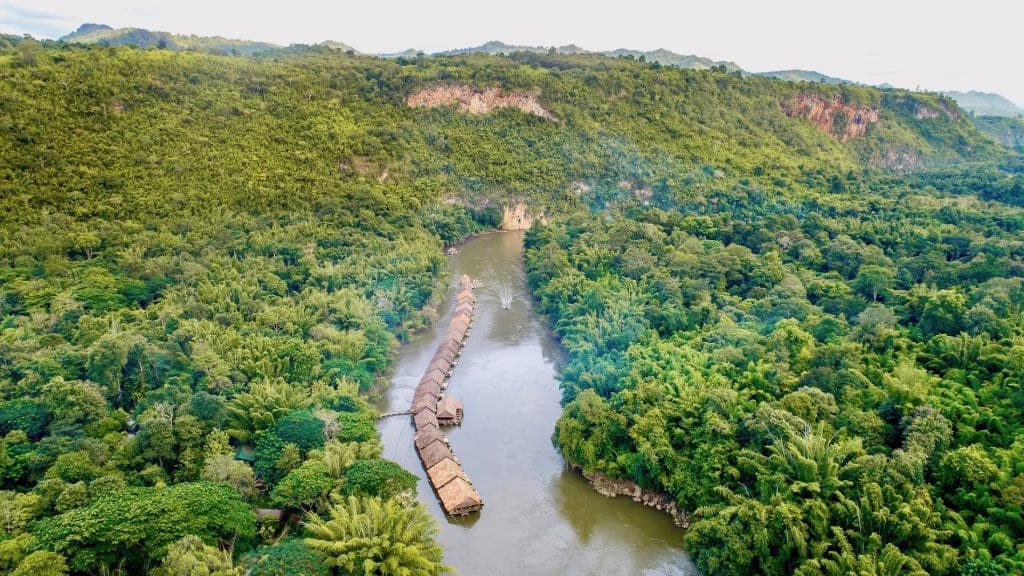 Jungle Rafts