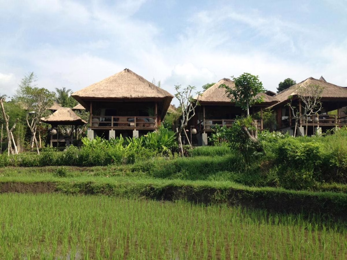 Jungle Rafts