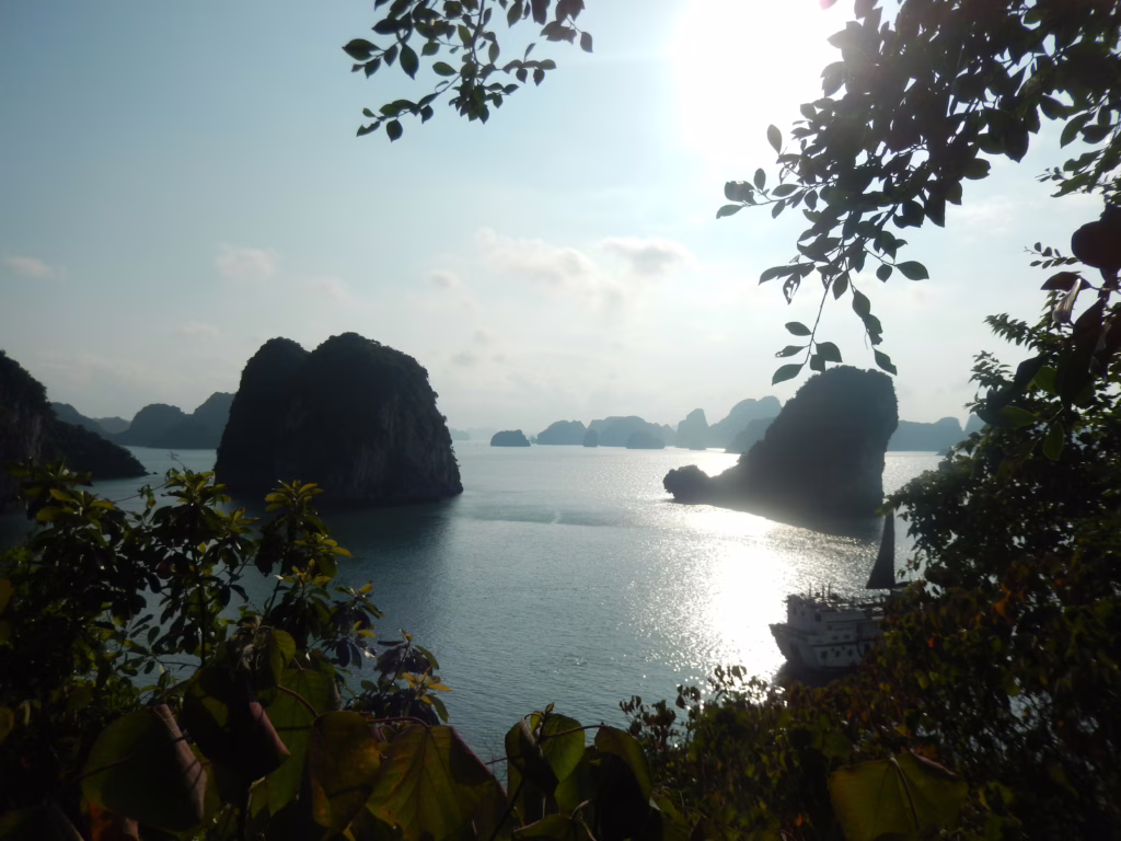Bai Tu Long