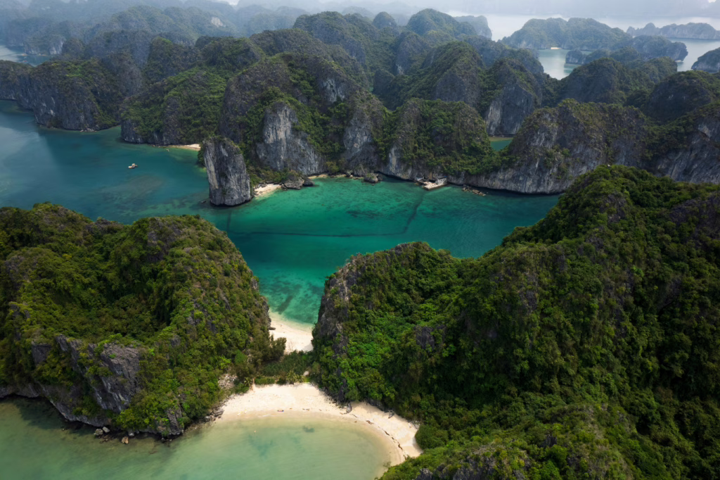 Bai Tu Long