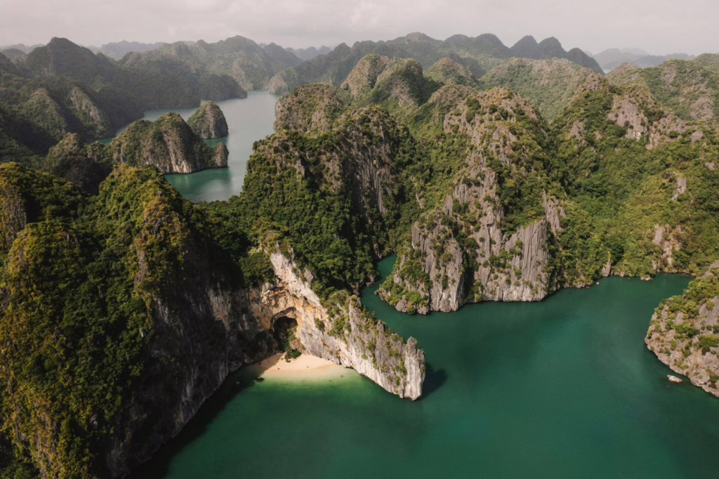 Bai Tu Long