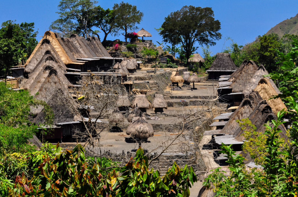 Bajawa