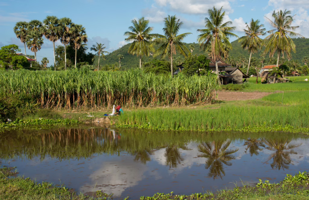 Battambang