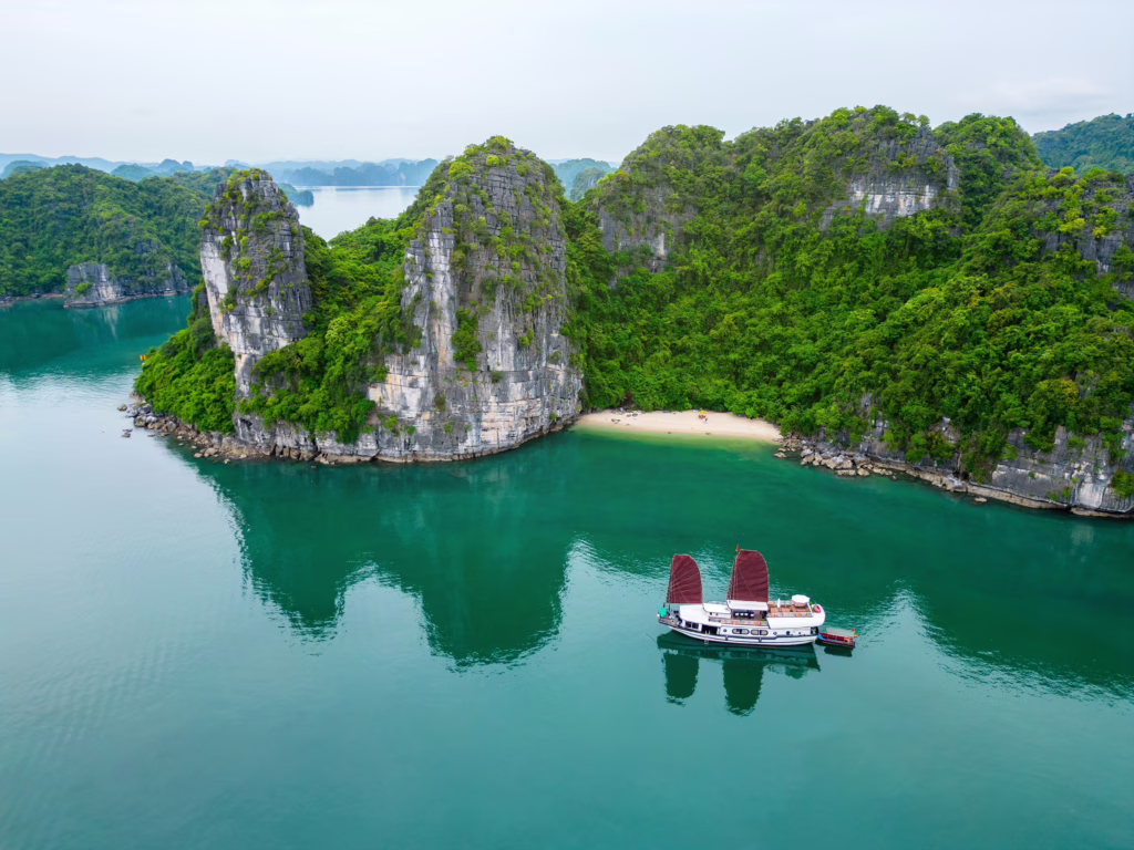 Bai Tu Long