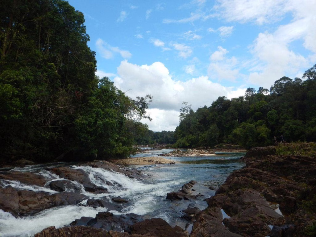 Endau Rompin