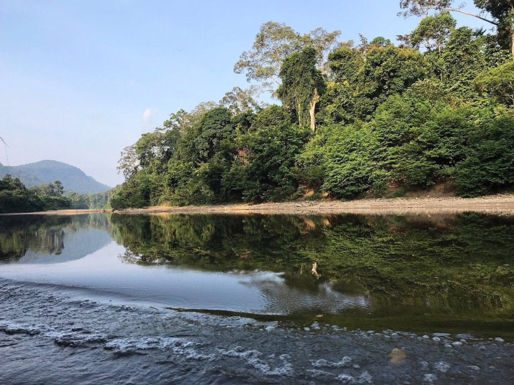 Endau Rompin