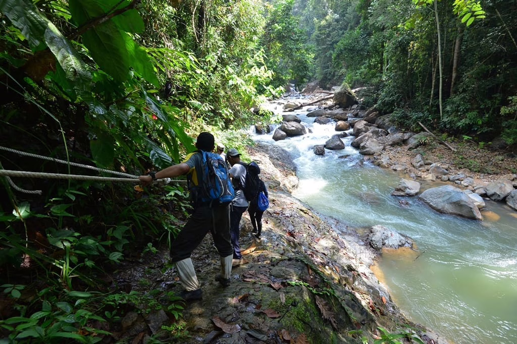 Endau Rompin