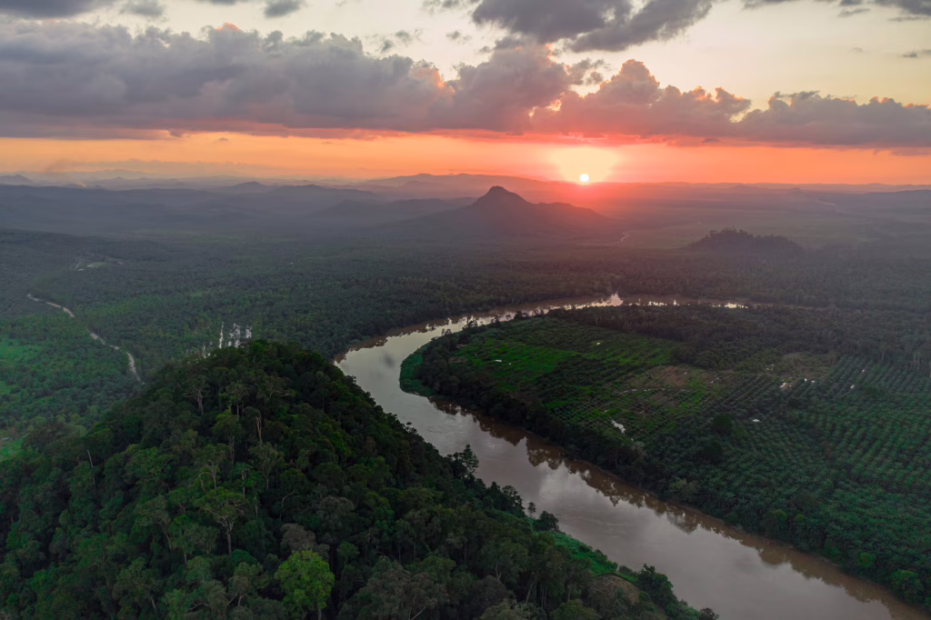 Kinabatangan rivier