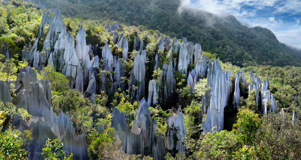 Mulu Nationaal Park