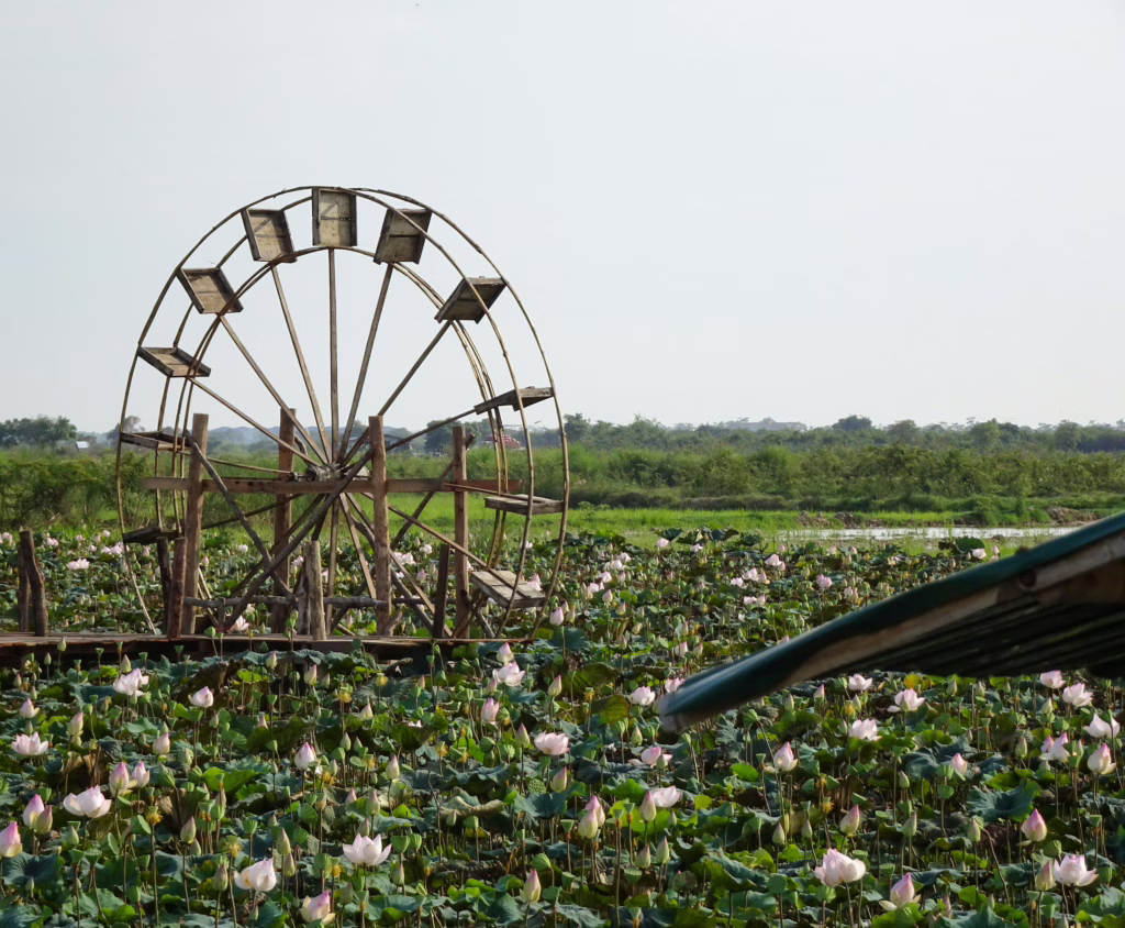 Siem Reap