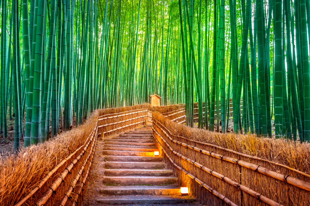 Kyoto