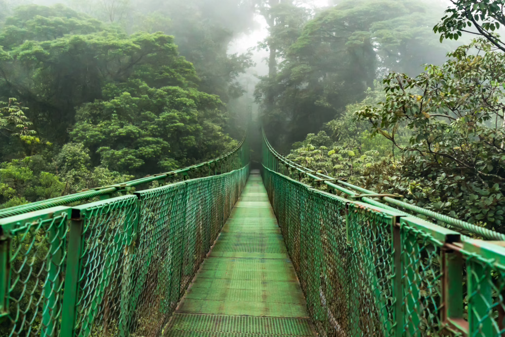 Monteverde