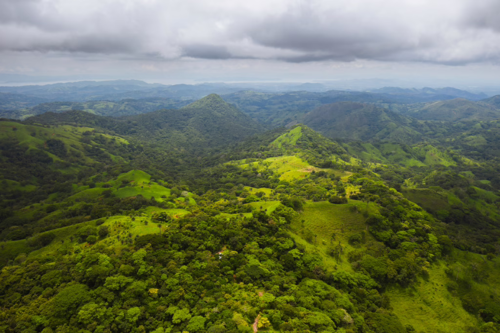 Monteverde