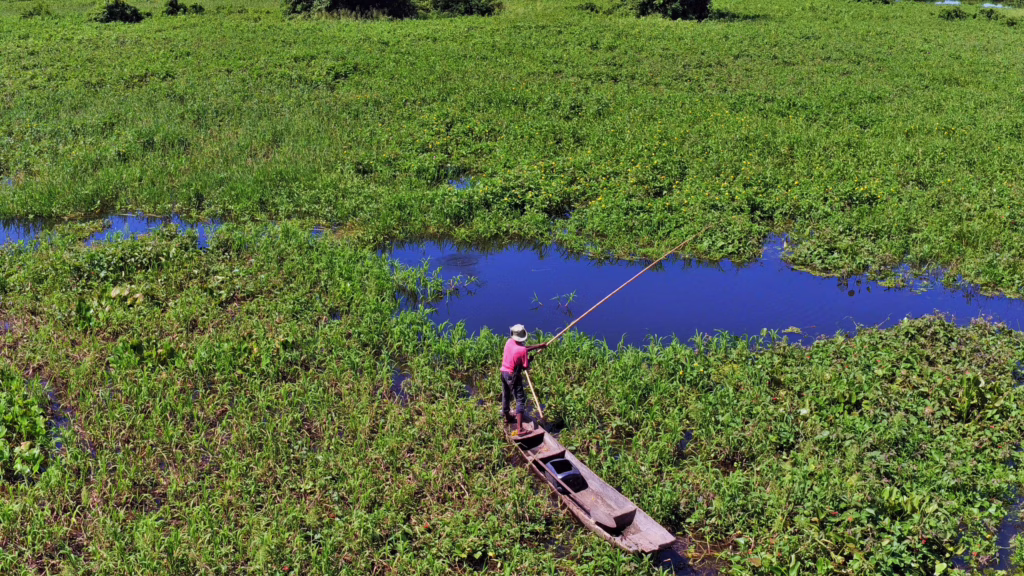 Pantanal
