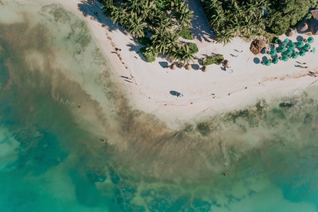 Playa Del Carmen