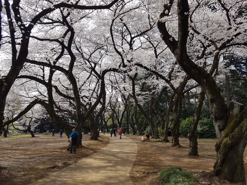 Tokyo