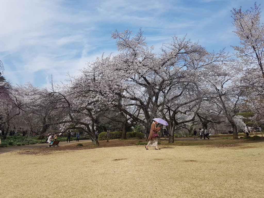 Tokyo