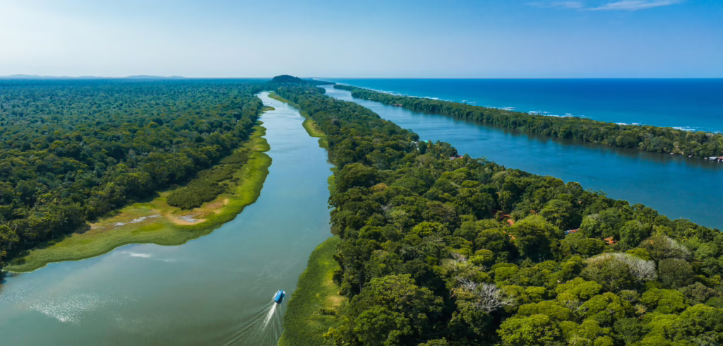Tortuguero