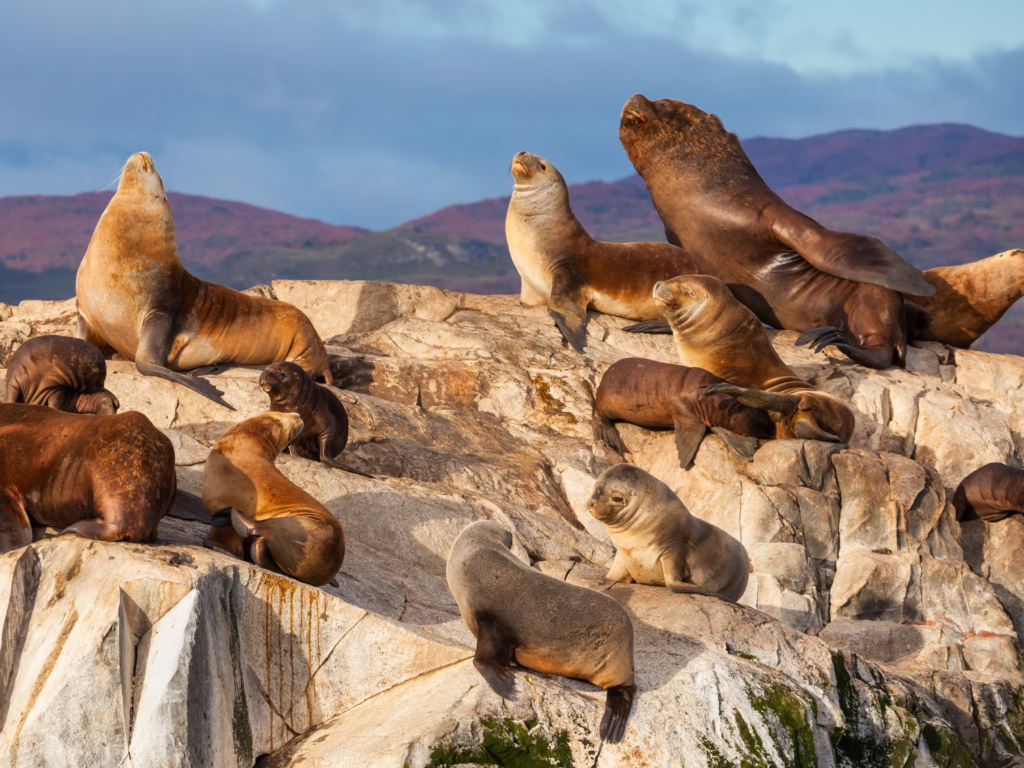 Ushuaia