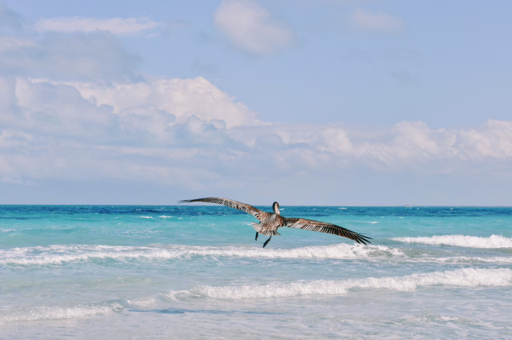 Varadero