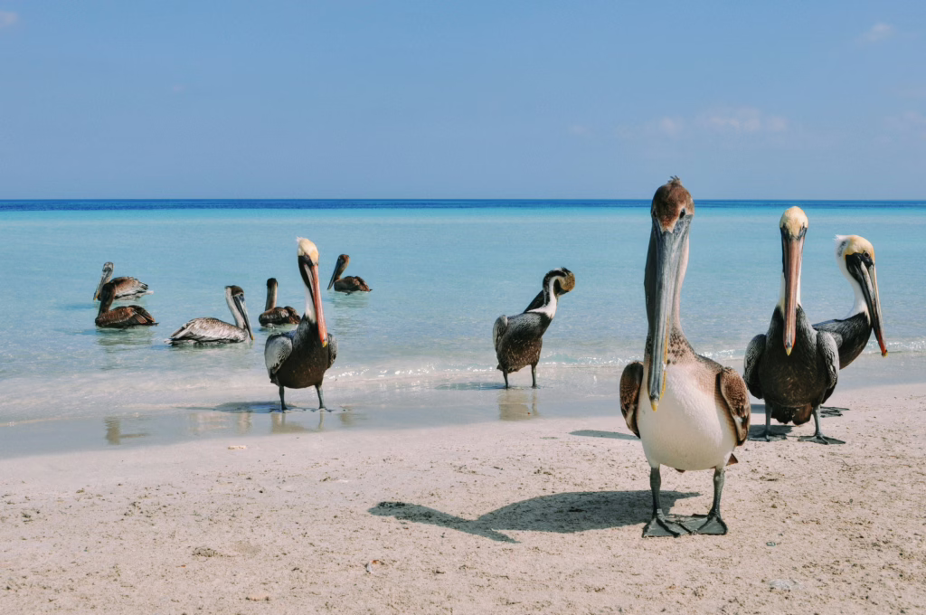 Varadero