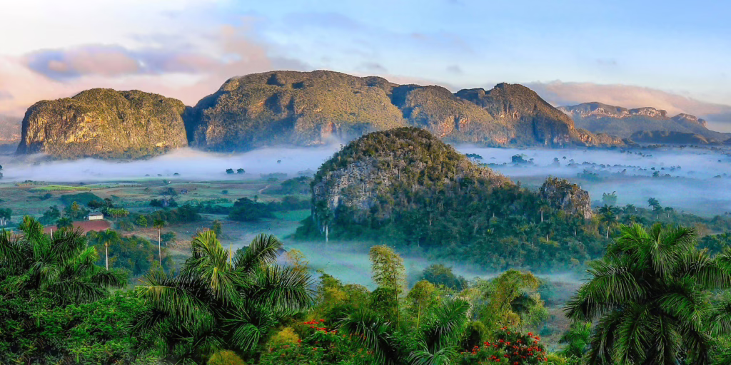 Vinales