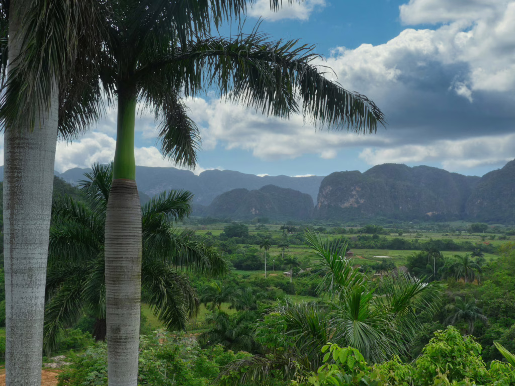Vinales