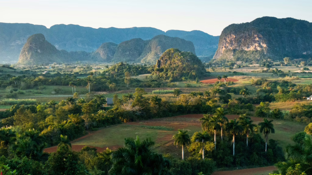 Vinales