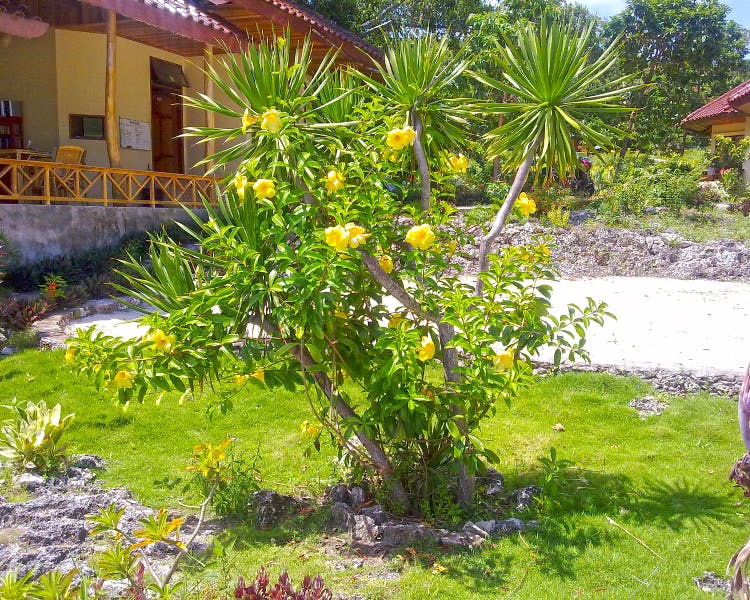 Bara Beach Bungalows