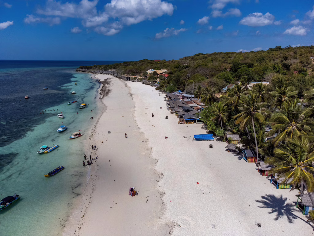 Bira