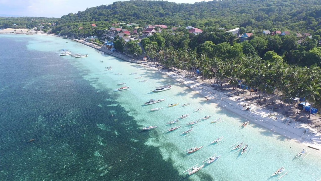 Bira