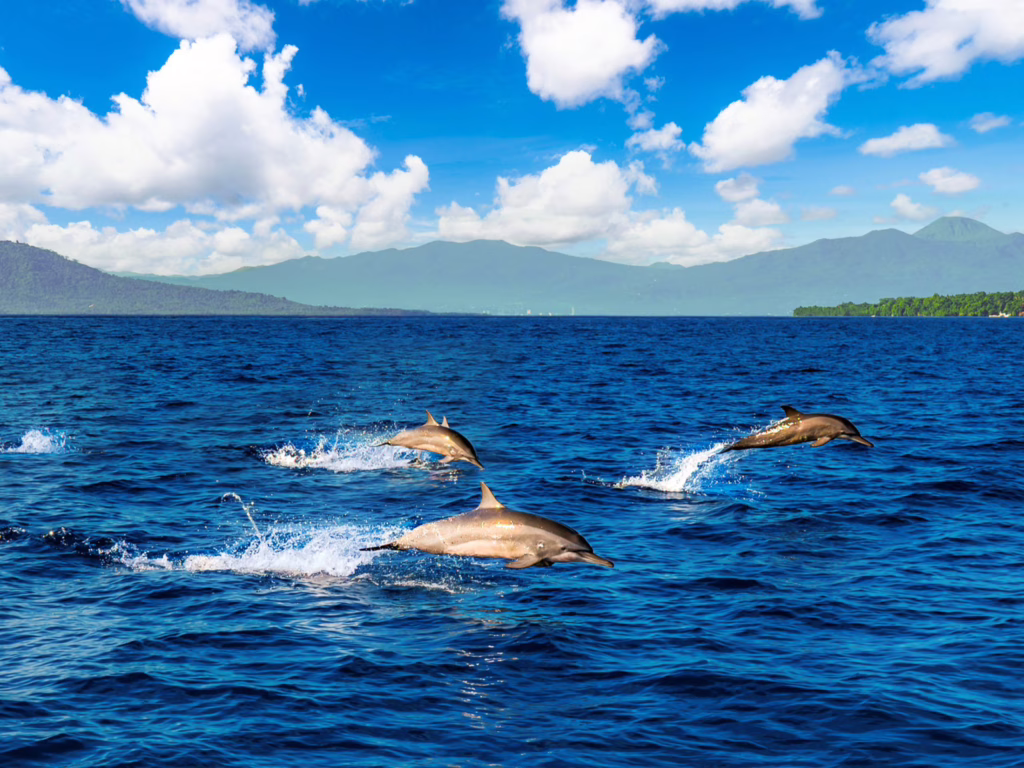 Bunaken