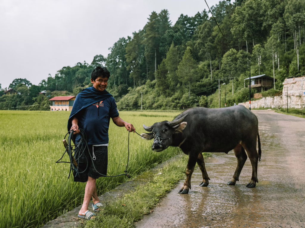 Tana Toraja