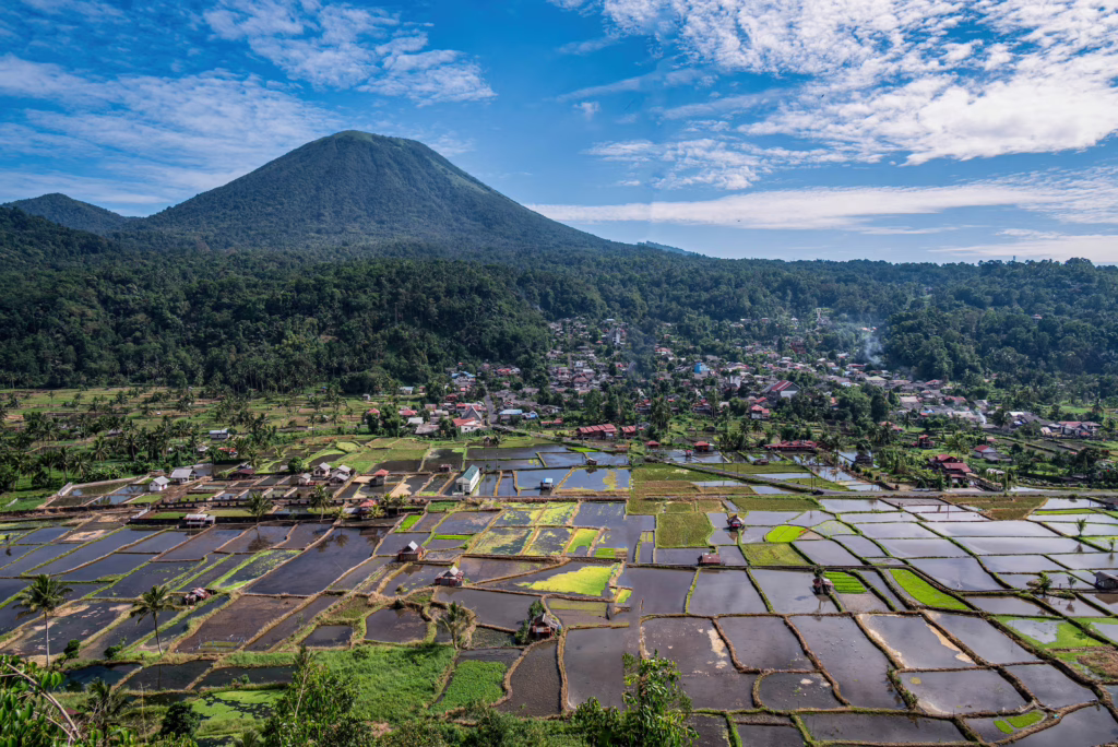 Tomohon