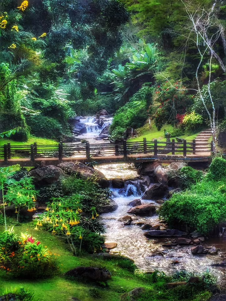 Mae Sa Valley Garden Resort