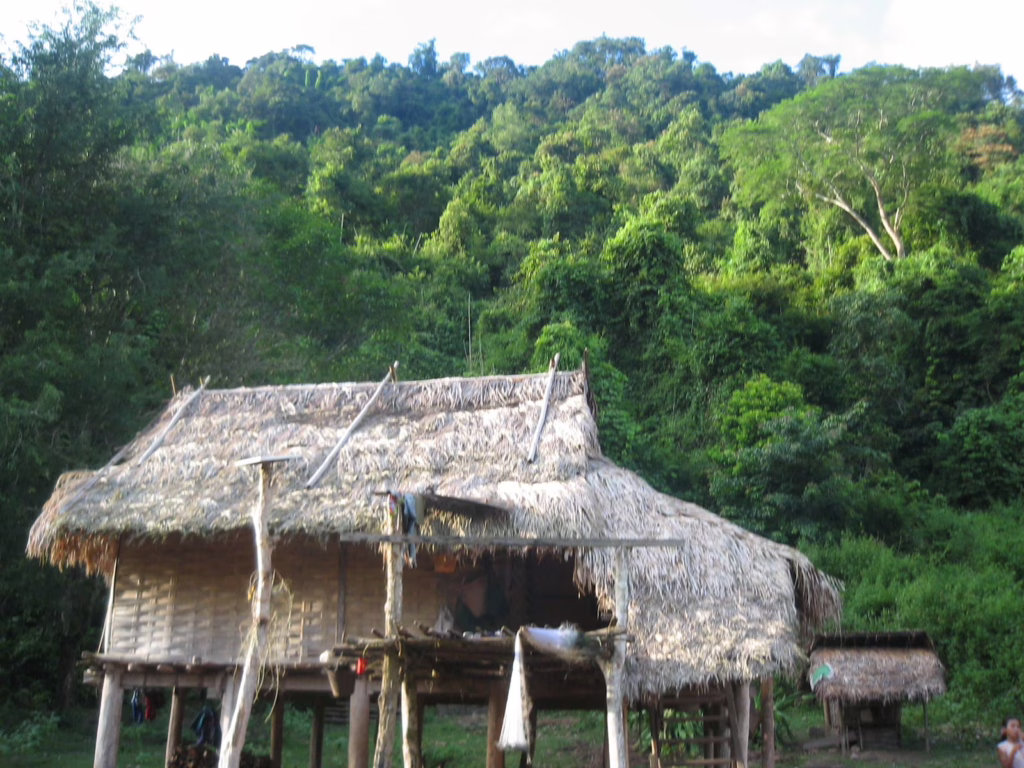 Homestay Luang Namtha