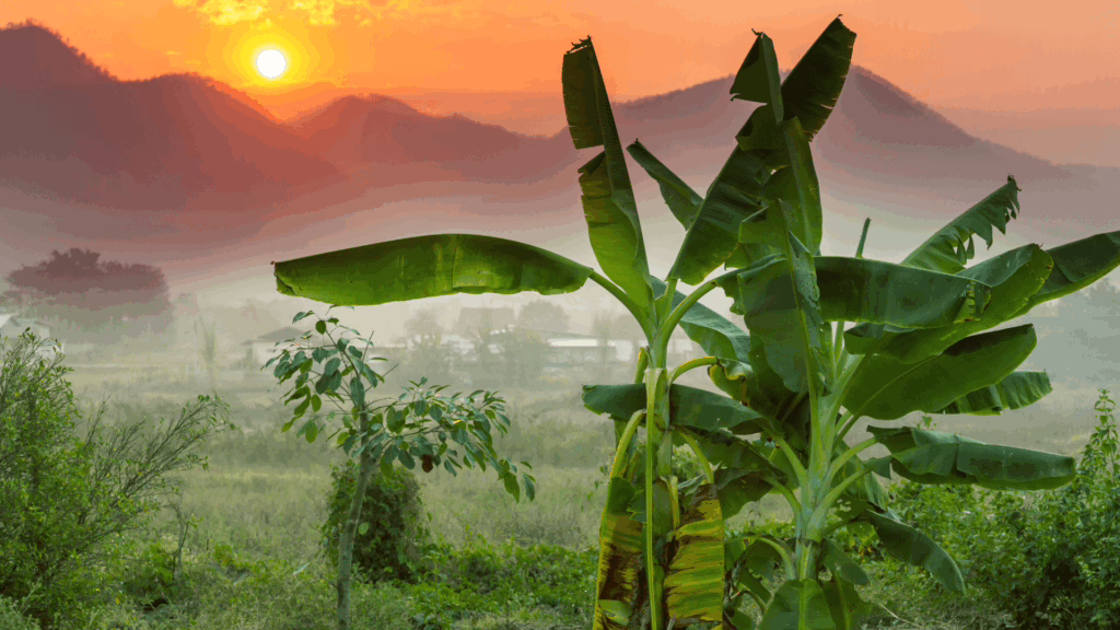 Mae Hong Son