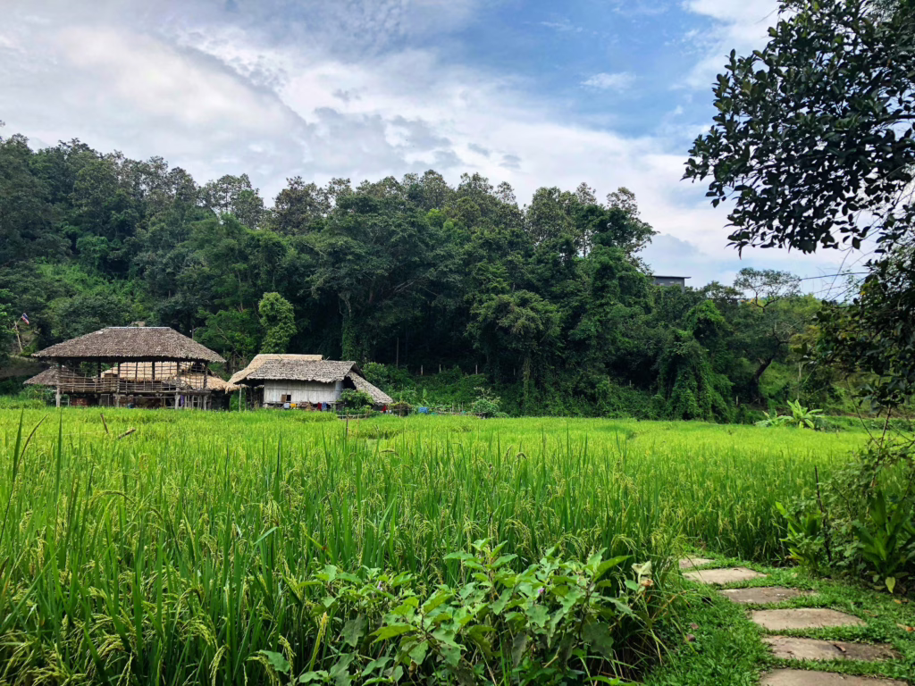 Mae Rim