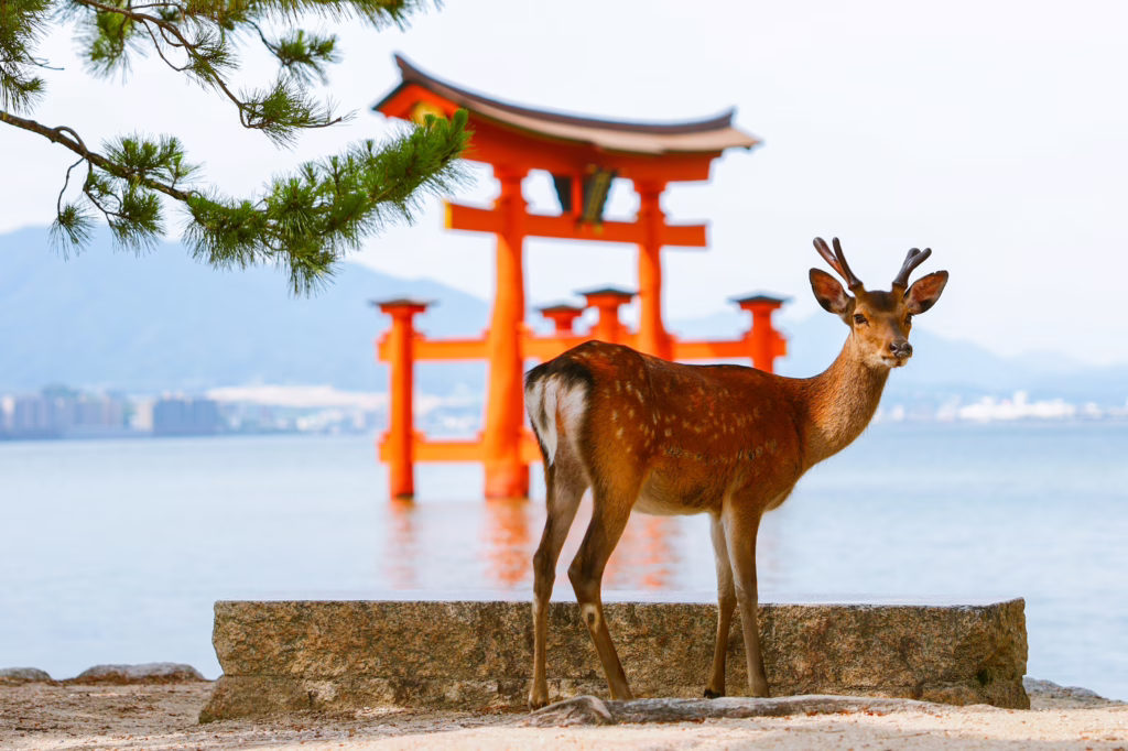 Miyajima