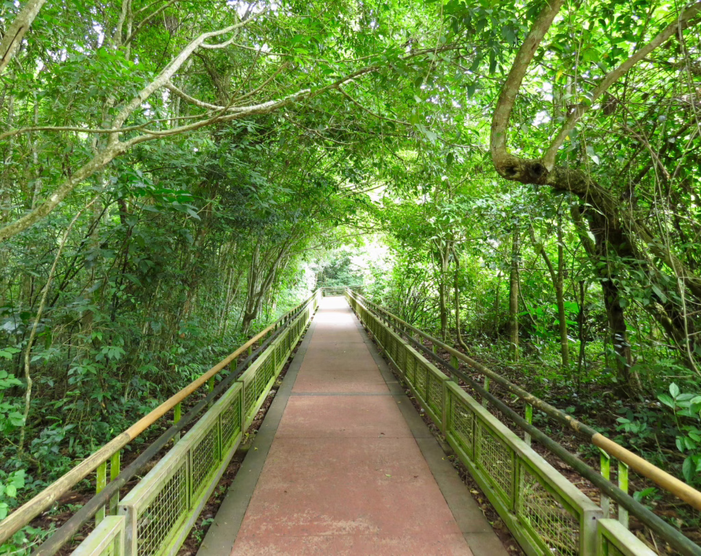 Puerto Iguazu