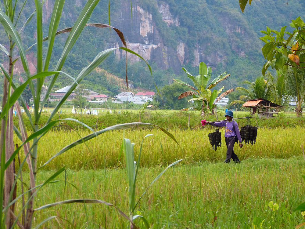 Harau Valley - Sumatra