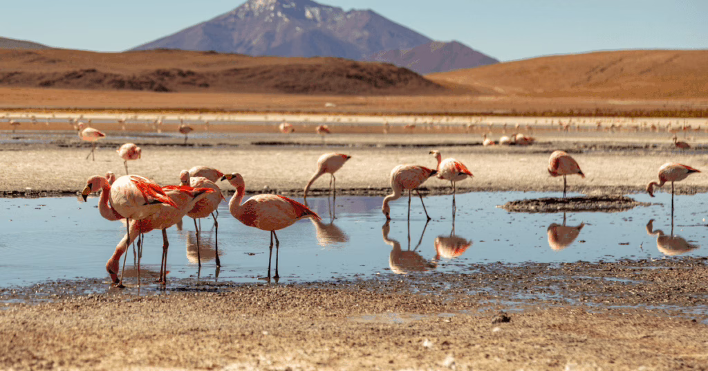 Rondreis-Bolivia