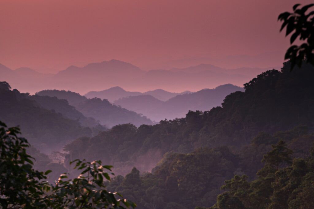 Phetchaburi WFFT & Kaeng Krachan National Park