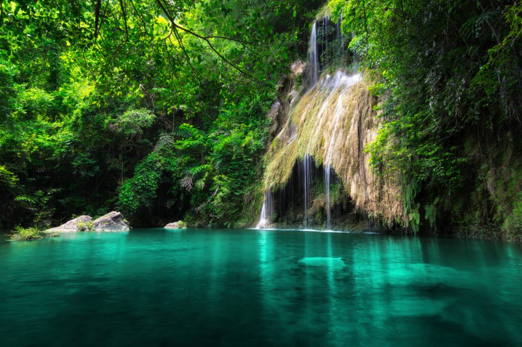 Phetchaburi WFFT & Kaeng Krachan National Park