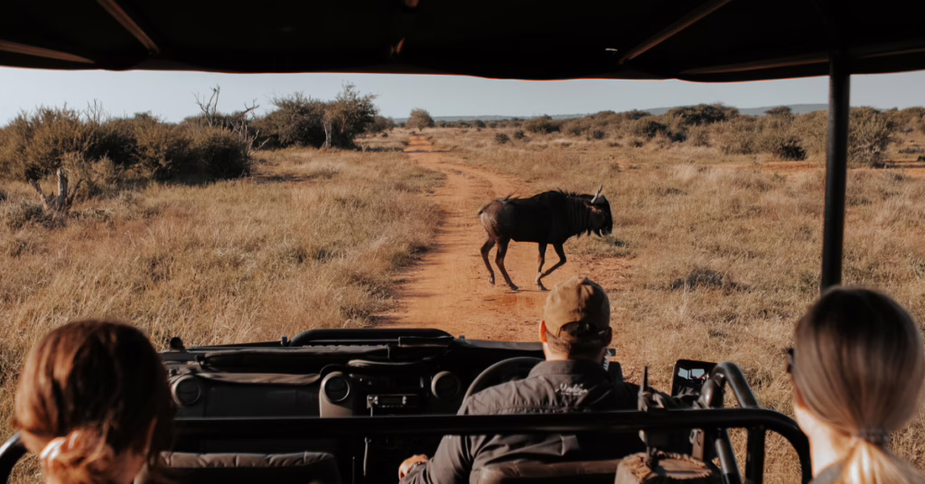 Familie-rondreis-zuid-afrika