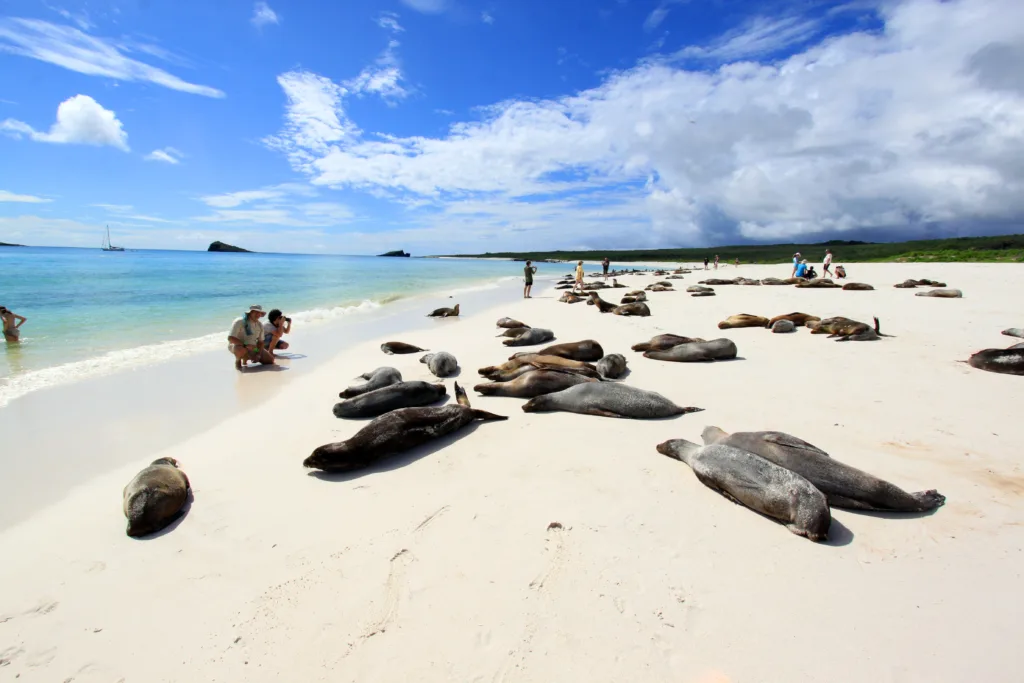 Galapagos