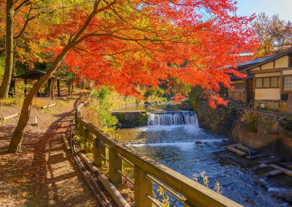 Kurokawa Onsen (ASO)