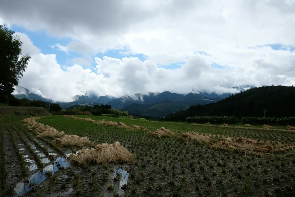Nakatsugawa